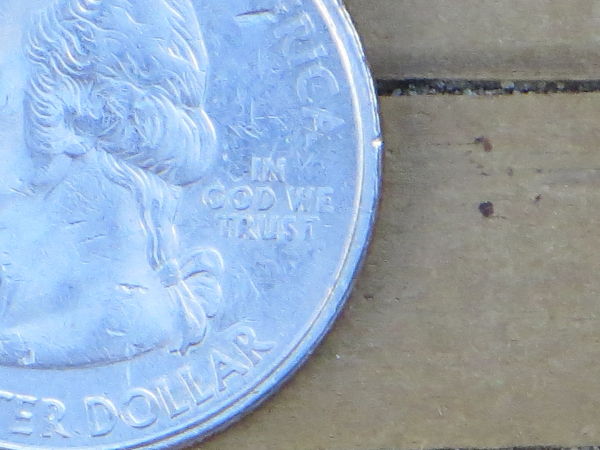 2-State-Quarter-Errors